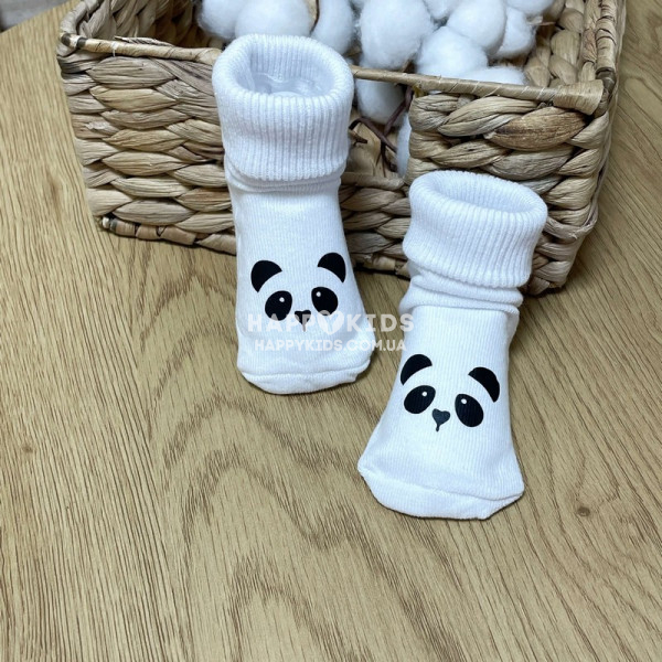 Носки новорожденным с принтом Панда 0-1 год - фото